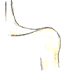 shoulder-wt.gif