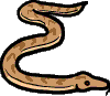 snake-vt.gif